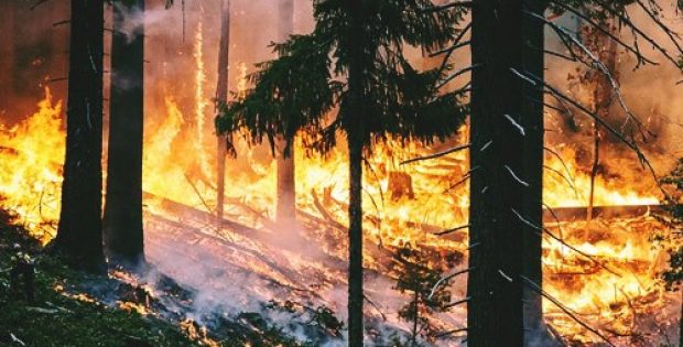 PG&E plans wildfire-prevention measures overhaul in California