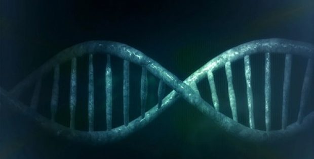 Sarepta announces positive results for MYO-101 gene therapy trial